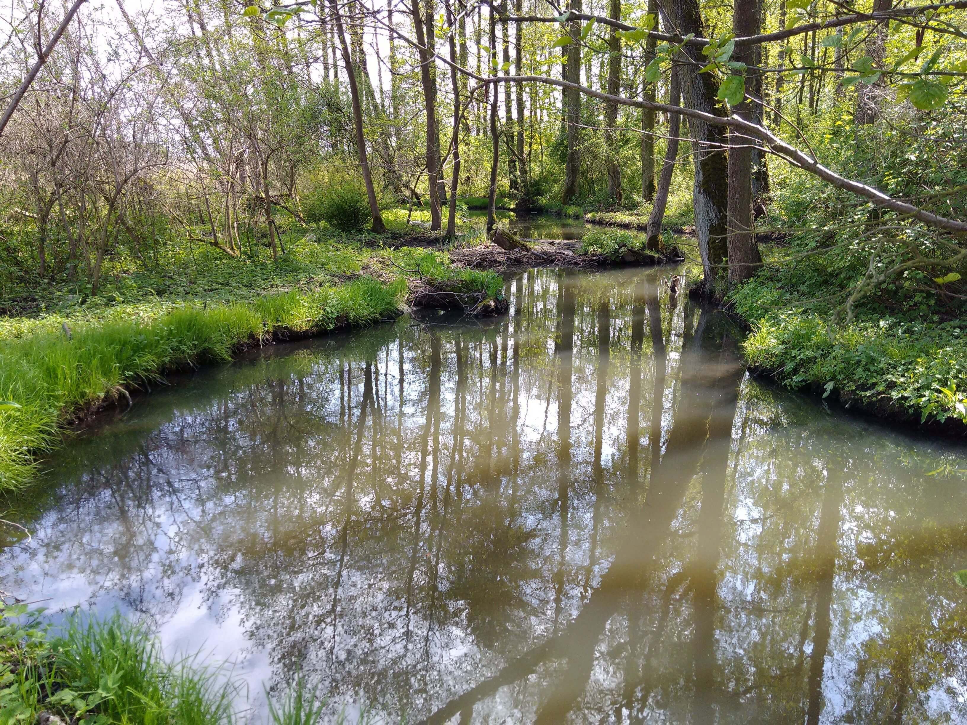 Kanał Bachorze Fotografie
