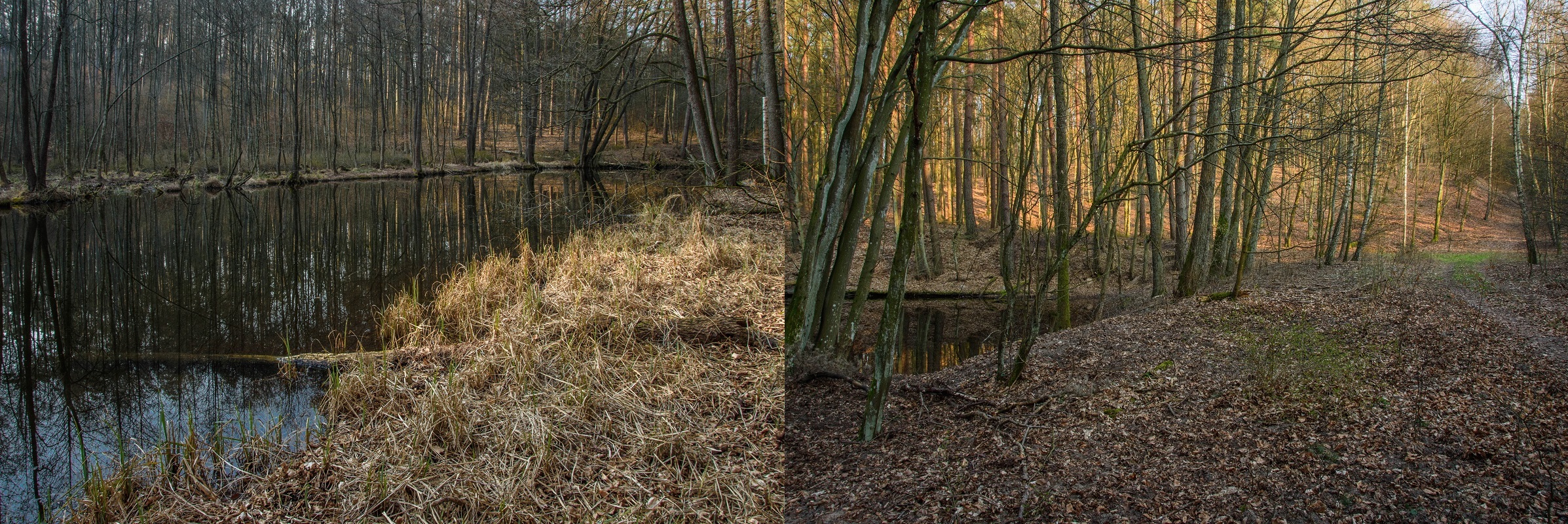 Poprzeczna grobla na końcu kanału Szlak wodny Kanału Jerzwałdzkiego. Poprzeczna grobla na końcu Kanału Jerzwałdzkiego